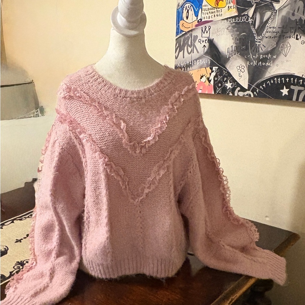 Pink Ruffle Sweater never wore H&M